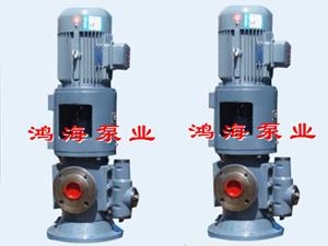 三螺杆泵-立式三螺杆泵-螺杆泵