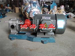 不锈钢泵-不锈钢齿轮泵-不锈钢高压泵 